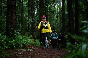 BIB: 
                            <button type="button" onclick="openModal(13401070)" class="btn btn-primary btn-sm float-right btn-popup" data-toggle="modal" data-target=".modal-high-quality">
                        <i class="fas fa-shopping-cart"></i> Add to Cart
                    </button>
                                            <button type="button" onclick="isThisMe(13401070, true)" class="btn btn-success btn-sm float-right btn-popup btn-isme hidden" data-toggle="tooltip" data-placement="bottom" title="นี่คือรูปของคุณใช่ไหม คลิกที่นี่เพื่อเอาเข้าอัลบั้ม">
                        <i class="fas fa-plus"></i> Add to album
                    </button>
                    <button type="button" onclick="isThisMe(13401070, false)" class="btn btn-warning btn-sm float-right btn-popup btn-isnotme hidden">
                        <i class="fas fa-ban"></i> Remove from album
                    </button>