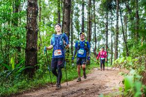 BIB: 
                            <button type="button" onclick="openModal(13474538)" class="btn btn-primary btn-sm float-right btn-popup" data-toggle="modal" data-target=".modal-high-quality">
                        <i class="fas fa-shopping-cart"></i> Add to Cart
                    </button>
                                            <button type="button" onclick="isThisMe(13474538, true)" class="btn btn-success btn-sm float-right btn-popup btn-isme hidden" data-toggle="tooltip" data-placement="bottom" title="นี่คือรูปของคุณใช่ไหม คลิกที่นี่เพื่อเอาเข้าอัลบั้ม">
                        <i class="fas fa-plus"></i> Add to album
                    </button>
                    <button type="button" onclick="isThisMe(13474538, false)" class="btn btn-warning btn-sm float-right btn-popup btn-isnotme hidden">
                        <i class="fas fa-ban"></i> Remove from album
                    </button>