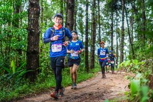 BIB: 623
                            <button type="button" onclick="openModal(13474378)" class="btn btn-primary btn-sm float-right btn-popup" data-toggle="modal" data-target=".modal-high-quality">
                        <i class="fas fa-shopping-cart"></i> Add to Cart
                    </button>
                                            <button type="button" onclick="isThisMe(13474378, true)" class="btn btn-success btn-sm float-right btn-popup btn-isme hidden" data-toggle="tooltip" data-placement="bottom" title="นี่คือรูปของคุณใช่ไหม คลิกที่นี่เพื่อเอาเข้าอัลบั้ม">
                        <i class="fas fa-plus"></i> Add to album
                    </button>
                    <button type="button" onclick="isThisMe(13474378, false)" class="btn btn-warning btn-sm float-right btn-popup btn-isnotme hidden">
                        <i class="fas fa-ban"></i> Remove from album
                    </button>