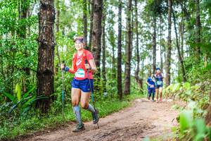 BIB: 
                            <button type="button" onclick="openModal(13474683)" class="btn btn-primary btn-sm float-right btn-popup" data-toggle="modal" data-target=".modal-high-quality">
                        <i class="fas fa-shopping-cart"></i> Add to Cart
                    </button>
                                            <button type="button" onclick="isThisMe(13474683, true)" class="btn btn-success btn-sm float-right btn-popup btn-isme hidden" data-toggle="tooltip" data-placement="bottom" title="นี่คือรูปของคุณใช่ไหม คลิกที่นี่เพื่อเอาเข้าอัลบั้ม">
                        <i class="fas fa-plus"></i> Add to album
                    </button>
                    <button type="button" onclick="isThisMe(13474683, false)" class="btn btn-warning btn-sm float-right btn-popup btn-isnotme hidden">
                        <i class="fas fa-ban"></i> Remove from album
                    </button>