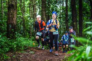 BIB: 
                            <button type="button" onclick="openModal(13479025)" class="btn btn-primary btn-sm float-right btn-popup" data-toggle="modal" data-target=".modal-high-quality">
                        <i class="fas fa-shopping-cart"></i> Add to Cart
                    </button>
                                            <button type="button" onclick="isThisMe(13479025, true)" class="btn btn-success btn-sm float-right btn-popup btn-isme hidden" data-toggle="tooltip" data-placement="bottom" title="นี่คือรูปของคุณใช่ไหม คลิกที่นี่เพื่อเอาเข้าอัลบั้ม">
                        <i class="fas fa-plus"></i> Add to album
                    </button>
                    <button type="button" onclick="isThisMe(13479025, false)" class="btn btn-warning btn-sm float-right btn-popup btn-isnotme hidden">
                        <i class="fas fa-ban"></i> Remove from album
                    </button>