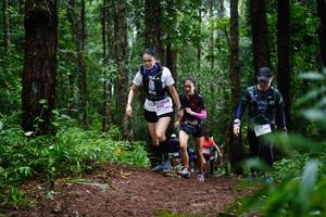 BIB: 
                            <button type="button" onclick="openModal(13451718)" class="btn btn-primary btn-sm float-right btn-popup" data-toggle="modal" data-target=".modal-high-quality">
                        <i class="fas fa-shopping-cart"></i> Add to Cart
                    </button>
                                            <button type="button" onclick="isThisMe(13451718, true)" class="btn btn-success btn-sm float-right btn-popup btn-isme hidden" data-toggle="tooltip" data-placement="bottom" title="นี่คือรูปของคุณใช่ไหม คลิกที่นี่เพื่อเอาเข้าอัลบั้ม">
                        <i class="fas fa-plus"></i> Add to album
                    </button>
                    <button type="button" onclick="isThisMe(13451718, false)" class="btn btn-warning btn-sm float-right btn-popup btn-isnotme hidden">
                        <i class="fas fa-ban"></i> Remove from album
                    </button>