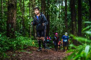 BIB: 
                            <button type="button" onclick="openModal(13479215)" class="btn btn-primary btn-sm float-right btn-popup" data-toggle="modal" data-target=".modal-high-quality">
                        <i class="fas fa-shopping-cart"></i> Add to Cart
                    </button>
                                            <button type="button" onclick="isThisMe(13479215, true)" class="btn btn-success btn-sm float-right btn-popup btn-isme hidden" data-toggle="tooltip" data-placement="bottom" title="นี่คือรูปของคุณใช่ไหม คลิกที่นี่เพื่อเอาเข้าอัลบั้ม">
                        <i class="fas fa-plus"></i> Add to album
                    </button>
                    <button type="button" onclick="isThisMe(13479215, false)" class="btn btn-warning btn-sm float-right btn-popup btn-isnotme hidden">
                        <i class="fas fa-ban"></i> Remove from album
                    </button>