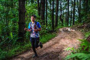 BIB: 
                            <button type="button" onclick="openModal(13487118)" class="btn btn-primary btn-sm float-right btn-popup" data-toggle="modal" data-target=".modal-high-quality">
                        <i class="fas fa-shopping-cart"></i> Add to Cart
                    </button>
                                            <button type="button" onclick="isThisMe(13487118, true)" class="btn btn-success btn-sm float-right btn-popup btn-isme hidden" data-toggle="tooltip" data-placement="bottom" title="นี่คือรูปของคุณใช่ไหม คลิกที่นี่เพื่อเอาเข้าอัลบั้ม">
                        <i class="fas fa-plus"></i> Add to album
                    </button>
                    <button type="button" onclick="isThisMe(13487118, false)" class="btn btn-warning btn-sm float-right btn-popup btn-isnotme hidden">
                        <i class="fas fa-ban"></i> Remove from album
                    </button>