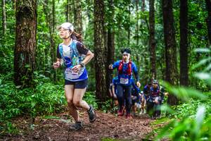 BIB: 
                            <button type="button" onclick="openModal(13479722)" class="btn btn-primary btn-sm float-right btn-popup" data-toggle="modal" data-target=".modal-high-quality">
                        <i class="fas fa-shopping-cart"></i> Add to Cart
                    </button>
                                            <button type="button" onclick="isThisMe(13479722, true)" class="btn btn-success btn-sm float-right btn-popup btn-isme hidden" data-toggle="tooltip" data-placement="bottom" title="นี่คือรูปของคุณใช่ไหม คลิกที่นี่เพื่อเอาเข้าอัลบั้ม">
                        <i class="fas fa-plus"></i> Add to album
                    </button>
                    <button type="button" onclick="isThisMe(13479722, false)" class="btn btn-warning btn-sm float-right btn-popup btn-isnotme hidden">
                        <i class="fas fa-ban"></i> Remove from album
                    </button>