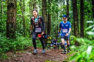 BIB: 8309, 118
                            <button type="button" onclick="openModal(13479609)" class="btn btn-primary btn-sm float-right btn-popup" data-toggle="modal" data-target=".modal-high-quality">
                        <i class="fas fa-shopping-cart"></i> Add to Cart
                    </button>
                                            <button type="button" onclick="isThisMe(13479609, true)" class="btn btn-success btn-sm float-right btn-popup btn-isme hidden" data-toggle="tooltip" data-placement="bottom" title="นี่คือรูปของคุณใช่ไหม คลิกที่นี่เพื่อเอาเข้าอัลบั้ม">
                        <i class="fas fa-plus"></i> Add to album
                    </button>
                    <button type="button" onclick="isThisMe(13479609, false)" class="btn btn-warning btn-sm float-right btn-popup btn-isnotme hidden">
                        <i class="fas fa-ban"></i> Remove from album
                    </button>