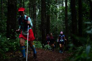 BIB: 
                            <button type="button" onclick="openModal(13401130)" class="btn btn-primary btn-sm float-right btn-popup" data-toggle="modal" data-target=".modal-high-quality">
                        <i class="fas fa-shopping-cart"></i> Add to Cart
                    </button>
                                            <button type="button" onclick="isThisMe(13401130, true)" class="btn btn-success btn-sm float-right btn-popup btn-isme hidden" data-toggle="tooltip" data-placement="bottom" title="นี่คือรูปของคุณใช่ไหม คลิกที่นี่เพื่อเอาเข้าอัลบั้ม">
                        <i class="fas fa-plus"></i> Add to album
                    </button>
                    <button type="button" onclick="isThisMe(13401130, false)" class="btn btn-warning btn-sm float-right btn-popup btn-isnotme hidden">
                        <i class="fas fa-ban"></i> Remove from album
                    </button>