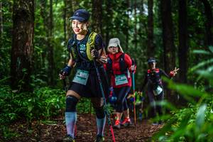 BIB: 
                            <button type="button" onclick="openModal(13475316)" class="btn btn-primary btn-sm float-right btn-popup" data-toggle="modal" data-target=".modal-high-quality">
                        <i class="fas fa-shopping-cart"></i> Add to Cart
                    </button>
                                            <button type="button" onclick="isThisMe(13475316, true)" class="btn btn-success btn-sm float-right btn-popup btn-isme hidden" data-toggle="tooltip" data-placement="bottom" title="นี่คือรูปของคุณใช่ไหม คลิกที่นี่เพื่อเอาเข้าอัลบั้ม">
                        <i class="fas fa-plus"></i> Add to album
                    </button>
                    <button type="button" onclick="isThisMe(13475316, false)" class="btn btn-warning btn-sm float-right btn-popup btn-isnotme hidden">
                        <i class="fas fa-ban"></i> Remove from album
                    </button>