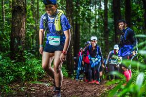 BIB: 1430
                            <button type="button" onclick="openModal(13479173)" class="btn btn-primary btn-sm float-right btn-popup" data-toggle="modal" data-target=".modal-high-quality">
                        <i class="fas fa-shopping-cart"></i> Add to Cart
                    </button>
                                            <button type="button" onclick="isThisMe(13479173, true)" class="btn btn-success btn-sm float-right btn-popup btn-isme hidden" data-toggle="tooltip" data-placement="bottom" title="นี่คือรูปของคุณใช่ไหม คลิกที่นี่เพื่อเอาเข้าอัลบั้ม">
                        <i class="fas fa-plus"></i> Add to album
                    </button>
                    <button type="button" onclick="isThisMe(13479173, false)" class="btn btn-warning btn-sm float-right btn-popup btn-isnotme hidden">
                        <i class="fas fa-ban"></i> Remove from album
                    </button>