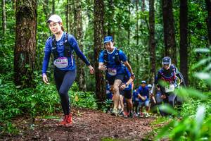 BIB: 223
                            <button type="button" onclick="openModal(13479730)" class="btn btn-primary btn-sm float-right btn-popup" data-toggle="modal" data-target=".modal-high-quality">
                        <i class="fas fa-shopping-cart"></i> Add to Cart
                    </button>
                                            <button type="button" onclick="isThisMe(13479730, true)" class="btn btn-success btn-sm float-right btn-popup btn-isme hidden" data-toggle="tooltip" data-placement="bottom" title="นี่คือรูปของคุณใช่ไหม คลิกที่นี่เพื่อเอาเข้าอัลบั้ม">
                        <i class="fas fa-plus"></i> Add to album
                    </button>
                    <button type="button" onclick="isThisMe(13479730, false)" class="btn btn-warning btn-sm float-right btn-popup btn-isnotme hidden">
                        <i class="fas fa-ban"></i> Remove from album
                    </button>