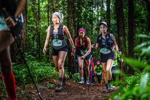 BIB: 1467
                            <button type="button" onclick="openModal(13478761)" class="btn btn-primary btn-sm float-right btn-popup" data-toggle="modal" data-target=".modal-high-quality">
                        <i class="fas fa-shopping-cart"></i> Add to Cart
                    </button>
                                            <button type="button" onclick="isThisMe(13478761, true)" class="btn btn-success btn-sm float-right btn-popup btn-isme hidden" data-toggle="tooltip" data-placement="bottom" title="นี่คือรูปของคุณใช่ไหม คลิกที่นี่เพื่อเอาเข้าอัลบั้ม">
                        <i class="fas fa-plus"></i> Add to album
                    </button>
                    <button type="button" onclick="isThisMe(13478761, false)" class="btn btn-warning btn-sm float-right btn-popup btn-isnotme hidden">
                        <i class="fas fa-ban"></i> Remove from album
                    </button>