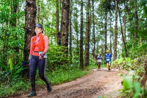 BIB: 9278
                            <button type="button" onclick="openModal(13475045)" class="btn btn-primary btn-sm float-right btn-popup" data-toggle="modal" data-target=".modal-high-quality">
                        <i class="fas fa-shopping-cart"></i> Add to Cart
                    </button>
                                            <button type="button" onclick="isThisMe(13475045, true)" class="btn btn-success btn-sm float-right btn-popup btn-isme hidden" data-toggle="tooltip" data-placement="bottom" title="นี่คือรูปของคุณใช่ไหม คลิกที่นี่เพื่อเอาเข้าอัลบั้ม">
                        <i class="fas fa-plus"></i> Add to album
                    </button>
                    <button type="button" onclick="isThisMe(13475045, false)" class="btn btn-warning btn-sm float-right btn-popup btn-isnotme hidden">
                        <i class="fas fa-ban"></i> Remove from album
                    </button>