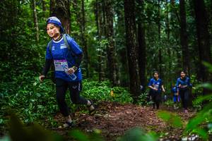 BIB: 8019
                            <button type="button" onclick="openModal(13480099)" class="btn btn-primary btn-sm float-right btn-popup" data-toggle="modal" data-target=".modal-high-quality">
                        <i class="fas fa-shopping-cart"></i> Add to Cart
                    </button>
                                            <button type="button" onclick="isThisMe(13480099, true)" class="btn btn-success btn-sm float-right btn-popup btn-isme hidden" data-toggle="tooltip" data-placement="bottom" title="นี่คือรูปของคุณใช่ไหม คลิกที่นี่เพื่อเอาเข้าอัลบั้ม">
                        <i class="fas fa-plus"></i> Add to album
                    </button>
                    <button type="button" onclick="isThisMe(13480099, false)" class="btn btn-warning btn-sm float-right btn-popup btn-isnotme hidden">
                        <i class="fas fa-ban"></i> Remove from album
                    </button>