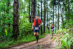 BIB: 
                            <button type="button" onclick="openModal(13487254)" class="btn btn-primary btn-sm float-right btn-popup" data-toggle="modal" data-target=".modal-high-quality">
                        <i class="fas fa-shopping-cart"></i> Add to Cart
                    </button>
                                            <button type="button" onclick="isThisMe(13487254, true)" class="btn btn-success btn-sm float-right btn-popup btn-isme hidden" data-toggle="tooltip" data-placement="bottom" title="นี่คือรูปของคุณใช่ไหม คลิกที่นี่เพื่อเอาเข้าอัลบั้ม">
                        <i class="fas fa-plus"></i> Add to album
                    </button>
                    <button type="button" onclick="isThisMe(13487254, false)" class="btn btn-warning btn-sm float-right btn-popup btn-isnotme hidden">
                        <i class="fas fa-ban"></i> Remove from album
                    </button>