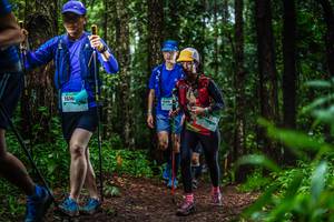 BIB: 1516
                            <button type="button" onclick="openModal(13475356)" class="btn btn-primary btn-sm float-right btn-popup" data-toggle="modal" data-target=".modal-high-quality">
                        <i class="fas fa-shopping-cart"></i> Add to Cart
                    </button>
                                            <button type="button" onclick="isThisMe(13475356, true)" class="btn btn-success btn-sm float-right btn-popup btn-isme hidden" data-toggle="tooltip" data-placement="bottom" title="นี่คือรูปของคุณใช่ไหม คลิกที่นี่เพื่อเอาเข้าอัลบั้ม">
                        <i class="fas fa-plus"></i> Add to album
                    </button>
                    <button type="button" onclick="isThisMe(13475356, false)" class="btn btn-warning btn-sm float-right btn-popup btn-isnotme hidden">
                        <i class="fas fa-ban"></i> Remove from album
                    </button>