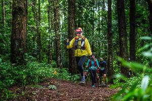 BIB: 
                            <button type="button" onclick="openModal(13478885)" class="btn btn-primary btn-sm float-right btn-popup" data-toggle="modal" data-target=".modal-high-quality">
                        <i class="fas fa-shopping-cart"></i> Add to Cart
                    </button>
                                            <button type="button" onclick="isThisMe(13478885, true)" class="btn btn-success btn-sm float-right btn-popup btn-isme hidden" data-toggle="tooltip" data-placement="bottom" title="นี่คือรูปของคุณใช่ไหม คลิกที่นี่เพื่อเอาเข้าอัลบั้ม">
                        <i class="fas fa-plus"></i> Add to album
                    </button>
                    <button type="button" onclick="isThisMe(13478885, false)" class="btn btn-warning btn-sm float-right btn-popup btn-isnotme hidden">
                        <i class="fas fa-ban"></i> Remove from album
                    </button>