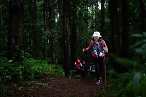 BIB: 
                            <button type="button" onclick="openModal(13401515)" class="btn btn-primary btn-sm float-right btn-popup" data-toggle="modal" data-target=".modal-high-quality">
                        <i class="fas fa-shopping-cart"></i> Add to Cart
                    </button>
                                            <button type="button" onclick="isThisMe(13401515, true)" class="btn btn-success btn-sm float-right btn-popup btn-isme hidden" data-toggle="tooltip" data-placement="bottom" title="นี่คือรูปของคุณใช่ไหม คลิกที่นี่เพื่อเอาเข้าอัลบั้ม">
                        <i class="fas fa-plus"></i> Add to album
                    </button>
                    <button type="button" onclick="isThisMe(13401515, false)" class="btn btn-warning btn-sm float-right btn-popup btn-isnotme hidden">
                        <i class="fas fa-ban"></i> Remove from album
                    </button>