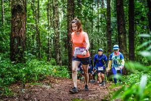 BIB: 8213
                            <button type="button" onclick="openModal(13479679)" class="btn btn-primary btn-sm float-right btn-popup" data-toggle="modal" data-target=".modal-high-quality">
                        <i class="fas fa-shopping-cart"></i> Add to Cart
                    </button>
                                            <button type="button" onclick="isThisMe(13479679, true)" class="btn btn-success btn-sm float-right btn-popup btn-isme hidden" data-toggle="tooltip" data-placement="bottom" title="นี่คือรูปของคุณใช่ไหม คลิกที่นี่เพื่อเอาเข้าอัลบั้ม">
                        <i class="fas fa-plus"></i> Add to album
                    </button>
                    <button type="button" onclick="isThisMe(13479679, false)" class="btn btn-warning btn-sm float-right btn-popup btn-isnotme hidden">
                        <i class="fas fa-ban"></i> Remove from album
                    </button>