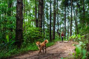 BIB: 1596
                            <button type="button" onclick="openModal(13474349)" class="btn btn-primary btn-sm float-right btn-popup" data-toggle="modal" data-target=".modal-high-quality">
                        <i class="fas fa-shopping-cart"></i> Add to Cart
                    </button>
                                            <button type="button" onclick="isThisMe(13474349, true)" class="btn btn-success btn-sm float-right btn-popup btn-isme hidden" data-toggle="tooltip" data-placement="bottom" title="นี่คือรูปของคุณใช่ไหม คลิกที่นี่เพื่อเอาเข้าอัลบั้ม">
                        <i class="fas fa-plus"></i> Add to album
                    </button>
                    <button type="button" onclick="isThisMe(13474349, false)" class="btn btn-warning btn-sm float-right btn-popup btn-isnotme hidden">
                        <i class="fas fa-ban"></i> Remove from album
                    </button>