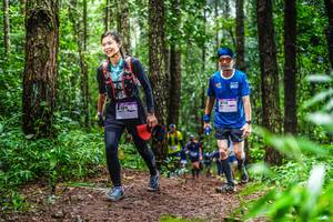 BIB: 309
                            <button type="button" onclick="openModal(13479608)" class="btn btn-primary btn-sm float-right btn-popup" data-toggle="modal" data-target=".modal-high-quality">
                        <i class="fas fa-shopping-cart"></i> Add to Cart
                    </button>
                                            <button type="button" onclick="isThisMe(13479608, true)" class="btn btn-success btn-sm float-right btn-popup btn-isme hidden" data-toggle="tooltip" data-placement="bottom" title="นี่คือรูปของคุณใช่ไหม คลิกที่นี่เพื่อเอาเข้าอัลบั้ม">
                        <i class="fas fa-plus"></i> Add to album
                    </button>
                    <button type="button" onclick="isThisMe(13479608, false)" class="btn btn-warning btn-sm float-right btn-popup btn-isnotme hidden">
                        <i class="fas fa-ban"></i> Remove from album
                    </button>