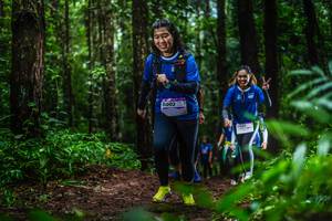 BIB: 8002
                            <button type="button" onclick="openModal(13480093)" class="btn btn-primary btn-sm float-right btn-popup" data-toggle="modal" data-target=".modal-high-quality">
                        <i class="fas fa-shopping-cart"></i> Add to Cart
                    </button>
                                            <button type="button" onclick="isThisMe(13480093, true)" class="btn btn-success btn-sm float-right btn-popup btn-isme hidden" data-toggle="tooltip" data-placement="bottom" title="นี่คือรูปของคุณใช่ไหม คลิกที่นี่เพื่อเอาเข้าอัลบั้ม">
                        <i class="fas fa-plus"></i> Add to album
                    </button>
                    <button type="button" onclick="isThisMe(13480093, false)" class="btn btn-warning btn-sm float-right btn-popup btn-isnotme hidden">
                        <i class="fas fa-ban"></i> Remove from album
                    </button>