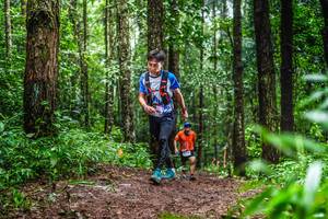 BIB: 
                            <button type="button" onclick="openModal(13479459)" class="btn btn-primary btn-sm float-right btn-popup" data-toggle="modal" data-target=".modal-high-quality">
                        <i class="fas fa-shopping-cart"></i> Add to Cart
                    </button>
                                            <button type="button" onclick="isThisMe(13479459, true)" class="btn btn-success btn-sm float-right btn-popup btn-isme hidden" data-toggle="tooltip" data-placement="bottom" title="นี่คือรูปของคุณใช่ไหม คลิกที่นี่เพื่อเอาเข้าอัลบั้ม">
                        <i class="fas fa-plus"></i> Add to album
                    </button>
                    <button type="button" onclick="isThisMe(13479459, false)" class="btn btn-warning btn-sm float-right btn-popup btn-isnotme hidden">
                        <i class="fas fa-ban"></i> Remove from album
                    </button>