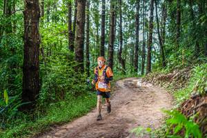 BIB: 
                            <button type="button" onclick="openModal(13487110)" class="btn btn-primary btn-sm float-right btn-popup" data-toggle="modal" data-target=".modal-high-quality">
                        <i class="fas fa-shopping-cart"></i> Add to Cart
                    </button>
                                            <button type="button" onclick="isThisMe(13487110, true)" class="btn btn-success btn-sm float-right btn-popup btn-isme hidden" data-toggle="tooltip" data-placement="bottom" title="นี่คือรูปของคุณใช่ไหม คลิกที่นี่เพื่อเอาเข้าอัลบั้ม">
                        <i class="fas fa-plus"></i> Add to album
                    </button>
                    <button type="button" onclick="isThisMe(13487110, false)" class="btn btn-warning btn-sm float-right btn-popup btn-isnotme hidden">
                        <i class="fas fa-ban"></i> Remove from album
                    </button>