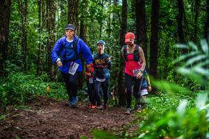 BIB: 
                            <button type="button" onclick="openModal(13480019)" class="btn btn-primary btn-sm float-right btn-popup" data-toggle="modal" data-target=".modal-high-quality">
                        <i class="fas fa-shopping-cart"></i> Add to Cart
                    </button>
                                            <button type="button" onclick="isThisMe(13480019, true)" class="btn btn-success btn-sm float-right btn-popup btn-isme hidden" data-toggle="tooltip" data-placement="bottom" title="นี่คือรูปของคุณใช่ไหม คลิกที่นี่เพื่อเอาเข้าอัลบั้ม">
                        <i class="fas fa-plus"></i> Add to album
                    </button>
                    <button type="button" onclick="isThisMe(13480019, false)" class="btn btn-warning btn-sm float-right btn-popup btn-isnotme hidden">
                        <i class="fas fa-ban"></i> Remove from album
                    </button>