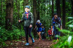 BIB: 
                            <button type="button" onclick="openModal(13479144)" class="btn btn-primary btn-sm float-right btn-popup" data-toggle="modal" data-target=".modal-high-quality">
                        <i class="fas fa-shopping-cart"></i> Add to Cart
                    </button>
                                            <button type="button" onclick="isThisMe(13479144, true)" class="btn btn-success btn-sm float-right btn-popup btn-isme hidden" data-toggle="tooltip" data-placement="bottom" title="นี่คือรูปของคุณใช่ไหม คลิกที่นี่เพื่อเอาเข้าอัลบั้ม">
                        <i class="fas fa-plus"></i> Add to album
                    </button>
                    <button type="button" onclick="isThisMe(13479144, false)" class="btn btn-warning btn-sm float-right btn-popup btn-isnotme hidden">
                        <i class="fas fa-ban"></i> Remove from album
                    </button>