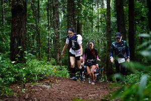 BIB: 
                            <button type="button" onclick="openModal(13451717)" class="btn btn-primary btn-sm float-right btn-popup" data-toggle="modal" data-target=".modal-high-quality">
                        <i class="fas fa-shopping-cart"></i> Add to Cart
                    </button>
                                            <button type="button" onclick="isThisMe(13451717, true)" class="btn btn-success btn-sm float-right btn-popup btn-isme hidden" data-toggle="tooltip" data-placement="bottom" title="นี่คือรูปของคุณใช่ไหม คลิกที่นี่เพื่อเอาเข้าอัลบั้ม">
                        <i class="fas fa-plus"></i> Add to album
                    </button>
                    <button type="button" onclick="isThisMe(13451717, false)" class="btn btn-warning btn-sm float-right btn-popup btn-isnotme hidden">
                        <i class="fas fa-ban"></i> Remove from album
                    </button>