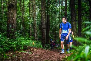 BIB: 
                            <button type="button" onclick="openModal(13479233)" class="btn btn-primary btn-sm float-right btn-popup" data-toggle="modal" data-target=".modal-high-quality">
                        <i class="fas fa-shopping-cart"></i> Add to Cart
                    </button>
                                            <button type="button" onclick="isThisMe(13479233, true)" class="btn btn-success btn-sm float-right btn-popup btn-isme hidden" data-toggle="tooltip" data-placement="bottom" title="นี่คือรูปของคุณใช่ไหม คลิกที่นี่เพื่อเอาเข้าอัลบั้ม">
                        <i class="fas fa-plus"></i> Add to album
                    </button>
                    <button type="button" onclick="isThisMe(13479233, false)" class="btn btn-warning btn-sm float-right btn-popup btn-isnotme hidden">
                        <i class="fas fa-ban"></i> Remove from album
                    </button>