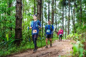 BIB: 
                            <button type="button" onclick="openModal(13474537)" class="btn btn-primary btn-sm float-right btn-popup" data-toggle="modal" data-target=".modal-high-quality">
                        <i class="fas fa-shopping-cart"></i> Add to Cart
                    </button>
                                            <button type="button" onclick="isThisMe(13474537, true)" class="btn btn-success btn-sm float-right btn-popup btn-isme hidden" data-toggle="tooltip" data-placement="bottom" title="นี่คือรูปของคุณใช่ไหม คลิกที่นี่เพื่อเอาเข้าอัลบั้ม">
                        <i class="fas fa-plus"></i> Add to album
                    </button>
                    <button type="button" onclick="isThisMe(13474537, false)" class="btn btn-warning btn-sm float-right btn-popup btn-isnotme hidden">
                        <i class="fas fa-ban"></i> Remove from album
                    </button>