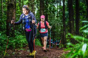 BIB: 1184
                            <button type="button" onclick="openModal(13479119)" class="btn btn-primary btn-sm float-right btn-popup" data-toggle="modal" data-target=".modal-high-quality">
                        <i class="fas fa-shopping-cart"></i> Add to Cart
                    </button>
                                            <button type="button" onclick="isThisMe(13479119, true)" class="btn btn-success btn-sm float-right btn-popup btn-isme hidden" data-toggle="tooltip" data-placement="bottom" title="นี่คือรูปของคุณใช่ไหม คลิกที่นี่เพื่อเอาเข้าอัลบั้ม">
                        <i class="fas fa-plus"></i> Add to album
                    </button>
                    <button type="button" onclick="isThisMe(13479119, false)" class="btn btn-warning btn-sm float-right btn-popup btn-isnotme hidden">
                        <i class="fas fa-ban"></i> Remove from album
                    </button>