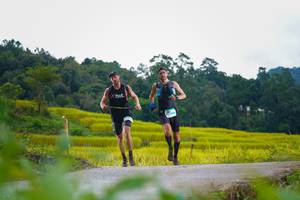 BIB: 
                            <button type="button" onclick="openModal(13379509)" class="btn btn-primary btn-sm float-right btn-popup" data-toggle="modal" data-target=".modal-high-quality">
                        <i class="fas fa-shopping-cart"></i> Add to Cart
                    </button>
                                            <button type="button" onclick="isThisMe(13379509, true)" class="btn btn-success btn-sm float-right btn-popup btn-isme hidden" data-toggle="tooltip" data-placement="bottom" title="นี่คือรูปของคุณใช่ไหม คลิกที่นี่เพื่อเอาเข้าอัลบั้ม">
                        <i class="fas fa-plus"></i> Add to album
                    </button>
                    <button type="button" onclick="isThisMe(13379509, false)" class="btn btn-warning btn-sm float-right btn-popup btn-isnotme hidden">
                        <i class="fas fa-ban"></i> Remove from album
                    </button>