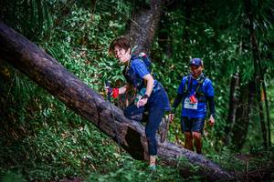 BIB: 
                            <button type="button" onclick="openModal(13372946)" class="btn btn-primary btn-sm float-right btn-popup" data-toggle="modal" data-target=".modal-high-quality">
                        <i class="fas fa-shopping-cart"></i> Add to Cart
                    </button>
                                            <button type="button" onclick="isThisMe(13372946, true)" class="btn btn-success btn-sm float-right btn-popup btn-isme hidden" data-toggle="tooltip" data-placement="bottom" title="นี่คือรูปของคุณใช่ไหม คลิกที่นี่เพื่อเอาเข้าอัลบั้ม">
                        <i class="fas fa-plus"></i> Add to album
                    </button>
                    <button type="button" onclick="isThisMe(13372946, false)" class="btn btn-warning btn-sm float-right btn-popup btn-isnotme hidden">
                        <i class="fas fa-ban"></i> Remove from album
                    </button>