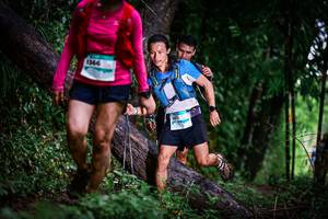 BIB: 1366, 1611
                            <button type="button" onclick="openModal(13373036)" class="btn btn-primary btn-sm float-right btn-popup" data-toggle="modal" data-target=".modal-high-quality">
                        <i class="fas fa-shopping-cart"></i> Add to Cart
                    </button>
                                            <button type="button" onclick="isThisMe(13373036, true)" class="btn btn-success btn-sm float-right btn-popup btn-isme hidden" data-toggle="tooltip" data-placement="bottom" title="นี่คือรูปของคุณใช่ไหม คลิกที่นี่เพื่อเอาเข้าอัลบั้ม">
                        <i class="fas fa-plus"></i> Add to album
                    </button>
                    <button type="button" onclick="isThisMe(13373036, false)" class="btn btn-warning btn-sm float-right btn-popup btn-isnotme hidden">
                        <i class="fas fa-ban"></i> Remove from album
                    </button>