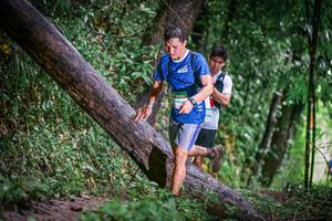 BIB: 
                            <button type="button" onclick="openModal(13372648)" class="btn btn-primary btn-sm float-right btn-popup" data-toggle="modal" data-target=".modal-high-quality">
                        <i class="fas fa-shopping-cart"></i> Add to Cart
                    </button>
                                            <button type="button" onclick="isThisMe(13372648, true)" class="btn btn-success btn-sm float-right btn-popup btn-isme hidden" data-toggle="tooltip" data-placement="bottom" title="นี่คือรูปของคุณใช่ไหม คลิกที่นี่เพื่อเอาเข้าอัลบั้ม">
                        <i class="fas fa-plus"></i> Add to album
                    </button>
                    <button type="button" onclick="isThisMe(13372648, false)" class="btn btn-warning btn-sm float-right btn-popup btn-isnotme hidden">
                        <i class="fas fa-ban"></i> Remove from album
                    </button>