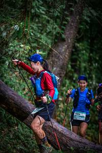 BIB: 1194
                            <button type="button" onclick="openModal(13419534)" class="btn btn-primary btn-sm float-right btn-popup" data-toggle="modal" data-target=".modal-high-quality">
                        <i class="fas fa-shopping-cart"></i> Add to Cart
                    </button>
                                            <button type="button" onclick="isThisMe(13419534, true)" class="btn btn-success btn-sm float-right btn-popup btn-isme hidden" data-toggle="tooltip" data-placement="bottom" title="นี่คือรูปของคุณใช่ไหม คลิกที่นี่เพื่อเอาเข้าอัลบั้ม">
                        <i class="fas fa-plus"></i> Add to album
                    </button>
                    <button type="button" onclick="isThisMe(13419534, false)" class="btn btn-warning btn-sm float-right btn-popup btn-isnotme hidden">
                        <i class="fas fa-ban"></i> Remove from album
                    </button>