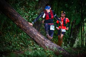 BIB: 444
                            <button type="button" onclick="openModal(13372792)" class="btn btn-primary btn-sm float-right btn-popup" data-toggle="modal" data-target=".modal-high-quality">
                        <i class="fas fa-shopping-cart"></i> Add to Cart
                    </button>
                                            <button type="button" onclick="isThisMe(13372792, true)" class="btn btn-success btn-sm float-right btn-popup btn-isme hidden" data-toggle="tooltip" data-placement="bottom" title="นี่คือรูปของคุณใช่ไหม คลิกที่นี่เพื่อเอาเข้าอัลบั้ม">
                        <i class="fas fa-plus"></i> Add to album
                    </button>
                    <button type="button" onclick="isThisMe(13372792, false)" class="btn btn-warning btn-sm float-right btn-popup btn-isnotme hidden">
                        <i class="fas fa-ban"></i> Remove from album
                    </button>