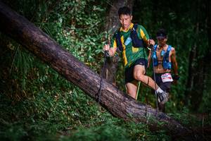 BIB: 
                            <button type="button" onclick="openModal(13372701)" class="btn btn-primary btn-sm float-right btn-popup" data-toggle="modal" data-target=".modal-high-quality">
                        <i class="fas fa-shopping-cart"></i> Add to Cart
                    </button>
                                            <button type="button" onclick="isThisMe(13372701, true)" class="btn btn-success btn-sm float-right btn-popup btn-isme hidden" data-toggle="tooltip" data-placement="bottom" title="นี่คือรูปของคุณใช่ไหม คลิกที่นี่เพื่อเอาเข้าอัลบั้ม">
                        <i class="fas fa-plus"></i> Add to album
                    </button>
                    <button type="button" onclick="isThisMe(13372701, false)" class="btn btn-warning btn-sm float-right btn-popup btn-isnotme hidden">
                        <i class="fas fa-ban"></i> Remove from album
                    </button>