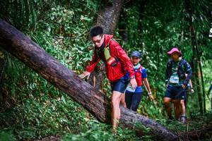 BIB: 
                            <button type="button" onclick="openModal(13372932)" class="btn btn-primary btn-sm float-right btn-popup" data-toggle="modal" data-target=".modal-high-quality">
                        <i class="fas fa-shopping-cart"></i> Add to Cart
                    </button>
                                            <button type="button" onclick="isThisMe(13372932, true)" class="btn btn-success btn-sm float-right btn-popup btn-isme hidden" data-toggle="tooltip" data-placement="bottom" title="นี่คือรูปของคุณใช่ไหม คลิกที่นี่เพื่อเอาเข้าอัลบั้ม">
                        <i class="fas fa-plus"></i> Add to album
                    </button>
                    <button type="button" onclick="isThisMe(13372932, false)" class="btn btn-warning btn-sm float-right btn-popup btn-isnotme hidden">
                        <i class="fas fa-ban"></i> Remove from album
                    </button>