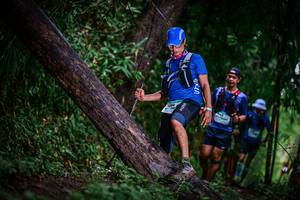 BIB: 
                            <button type="button" onclick="openModal(13373209)" class="btn btn-primary btn-sm float-right btn-popup" data-toggle="modal" data-target=".modal-high-quality">
                        <i class="fas fa-shopping-cart"></i> Add to Cart
                    </button>
                                            <button type="button" onclick="isThisMe(13373209, true)" class="btn btn-success btn-sm float-right btn-popup btn-isme hidden" data-toggle="tooltip" data-placement="bottom" title="นี่คือรูปของคุณใช่ไหม คลิกที่นี่เพื่อเอาเข้าอัลบั้ม">
                        <i class="fas fa-plus"></i> Add to album
                    </button>
                    <button type="button" onclick="isThisMe(13373209, false)" class="btn btn-warning btn-sm float-right btn-popup btn-isnotme hidden">
                        <i class="fas fa-ban"></i> Remove from album
                    </button>