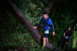 BIB: 
                            <button type="button" onclick="openModal(13373083)" class="btn btn-primary btn-sm float-right btn-popup" data-toggle="modal" data-target=".modal-high-quality">
                        <i class="fas fa-shopping-cart"></i> Add to Cart
                    </button>
                                            <button type="button" onclick="isThisMe(13373083, true)" class="btn btn-success btn-sm float-right btn-popup btn-isme hidden" data-toggle="tooltip" data-placement="bottom" title="นี่คือรูปของคุณใช่ไหม คลิกที่นี่เพื่อเอาเข้าอัลบั้ม">
                        <i class="fas fa-plus"></i> Add to album
                    </button>
                    <button type="button" onclick="isThisMe(13373083, false)" class="btn btn-warning btn-sm float-right btn-popup btn-isnotme hidden">
                        <i class="fas fa-ban"></i> Remove from album
                    </button>