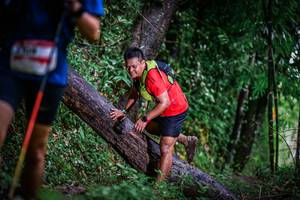 BIB: 
                            <button type="button" onclick="openModal(13372965)" class="btn btn-primary btn-sm float-right btn-popup" data-toggle="modal" data-target=".modal-high-quality">
                        <i class="fas fa-shopping-cart"></i> Add to Cart
                    </button>
                                            <button type="button" onclick="isThisMe(13372965, true)" class="btn btn-success btn-sm float-right btn-popup btn-isme hidden" data-toggle="tooltip" data-placement="bottom" title="นี่คือรูปของคุณใช่ไหม คลิกที่นี่เพื่อเอาเข้าอัลบั้ม">
                        <i class="fas fa-plus"></i> Add to album
                    </button>
                    <button type="button" onclick="isThisMe(13372965, false)" class="btn btn-warning btn-sm float-right btn-popup btn-isnotme hidden">
                        <i class="fas fa-ban"></i> Remove from album
                    </button>