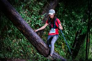 BIB: 
                            <button type="button" onclick="openModal(13372919)" class="btn btn-primary btn-sm float-right btn-popup" data-toggle="modal" data-target=".modal-high-quality">
                        <i class="fas fa-shopping-cart"></i> Add to Cart
                    </button>
                                            <button type="button" onclick="isThisMe(13372919, true)" class="btn btn-success btn-sm float-right btn-popup btn-isme hidden" data-toggle="tooltip" data-placement="bottom" title="นี่คือรูปของคุณใช่ไหม คลิกที่นี่เพื่อเอาเข้าอัลบั้ม">
                        <i class="fas fa-plus"></i> Add to album
                    </button>
                    <button type="button" onclick="isThisMe(13372919, false)" class="btn btn-warning btn-sm float-right btn-popup btn-isnotme hidden">
                        <i class="fas fa-ban"></i> Remove from album
                    </button>