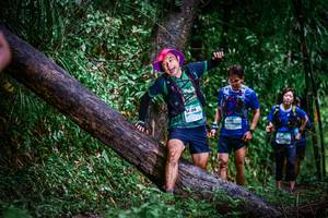 BIB: 7406
                            <button type="button" onclick="openModal(13372937)" class="btn btn-primary btn-sm float-right btn-popup" data-toggle="modal" data-target=".modal-high-quality">
                        <i class="fas fa-shopping-cart"></i> Add to Cart
                    </button>
                                            <button type="button" onclick="isThisMe(13372937, true)" class="btn btn-success btn-sm float-right btn-popup btn-isme hidden" data-toggle="tooltip" data-placement="bottom" title="นี่คือรูปของคุณใช่ไหม คลิกที่นี่เพื่อเอาเข้าอัลบั้ม">
                        <i class="fas fa-plus"></i> Add to album
                    </button>
                    <button type="button" onclick="isThisMe(13372937, false)" class="btn btn-warning btn-sm float-right btn-popup btn-isnotme hidden">
                        <i class="fas fa-ban"></i> Remove from album
                    </button>