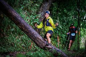 BIB: 
                            <button type="button" onclick="openModal(13372951)" class="btn btn-primary btn-sm float-right btn-popup" data-toggle="modal" data-target=".modal-high-quality">
                        <i class="fas fa-shopping-cart"></i> Add to Cart
                    </button>
                                            <button type="button" onclick="isThisMe(13372951, true)" class="btn btn-success btn-sm float-right btn-popup btn-isme hidden" data-toggle="tooltip" data-placement="bottom" title="นี่คือรูปของคุณใช่ไหม คลิกที่นี่เพื่อเอาเข้าอัลบั้ม">
                        <i class="fas fa-plus"></i> Add to album
                    </button>
                    <button type="button" onclick="isThisMe(13372951, false)" class="btn btn-warning btn-sm float-right btn-popup btn-isnotme hidden">
                        <i class="fas fa-ban"></i> Remove from album
                    </button>