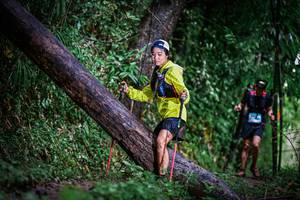 BIB: 
                            <button type="button" onclick="openModal(13372952)" class="btn btn-primary btn-sm float-right btn-popup" data-toggle="modal" data-target=".modal-high-quality">
                        <i class="fas fa-shopping-cart"></i> Add to Cart
                    </button>
                                            <button type="button" onclick="isThisMe(13372952, true)" class="btn btn-success btn-sm float-right btn-popup btn-isme hidden" data-toggle="tooltip" data-placement="bottom" title="นี่คือรูปของคุณใช่ไหม คลิกที่นี่เพื่อเอาเข้าอัลบั้ม">
                        <i class="fas fa-plus"></i> Add to album
                    </button>
                    <button type="button" onclick="isThisMe(13372952, false)" class="btn btn-warning btn-sm float-right btn-popup btn-isnotme hidden">
                        <i class="fas fa-ban"></i> Remove from album
                    </button>