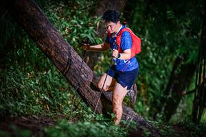 BIB: 
                            <button type="button" onclick="openModal(13420250)" class="btn btn-primary btn-sm float-right btn-popup" data-toggle="modal" data-target=".modal-high-quality">
                        <i class="fas fa-shopping-cart"></i> Add to Cart
                    </button>
                                            <button type="button" onclick="isThisMe(13420250, true)" class="btn btn-success btn-sm float-right btn-popup btn-isme hidden" data-toggle="tooltip" data-placement="bottom" title="นี่คือรูปของคุณใช่ไหม คลิกที่นี่เพื่อเอาเข้าอัลบั้ม">
                        <i class="fas fa-plus"></i> Add to album
                    </button>
                    <button type="button" onclick="isThisMe(13420250, false)" class="btn btn-warning btn-sm float-right btn-popup btn-isnotme hidden">
                        <i class="fas fa-ban"></i> Remove from album
                    </button>