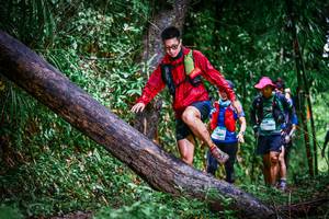 BIB: 
                            <button type="button" onclick="openModal(13372928)" class="btn btn-primary btn-sm float-right btn-popup" data-toggle="modal" data-target=".modal-high-quality">
                        <i class="fas fa-shopping-cart"></i> Add to Cart
                    </button>
                                            <button type="button" onclick="isThisMe(13372928, true)" class="btn btn-success btn-sm float-right btn-popup btn-isme hidden" data-toggle="tooltip" data-placement="bottom" title="นี่คือรูปของคุณใช่ไหม คลิกที่นี่เพื่อเอาเข้าอัลบั้ม">
                        <i class="fas fa-plus"></i> Add to album
                    </button>
                    <button type="button" onclick="isThisMe(13372928, false)" class="btn btn-warning btn-sm float-right btn-popup btn-isnotme hidden">
                        <i class="fas fa-ban"></i> Remove from album
                    </button>